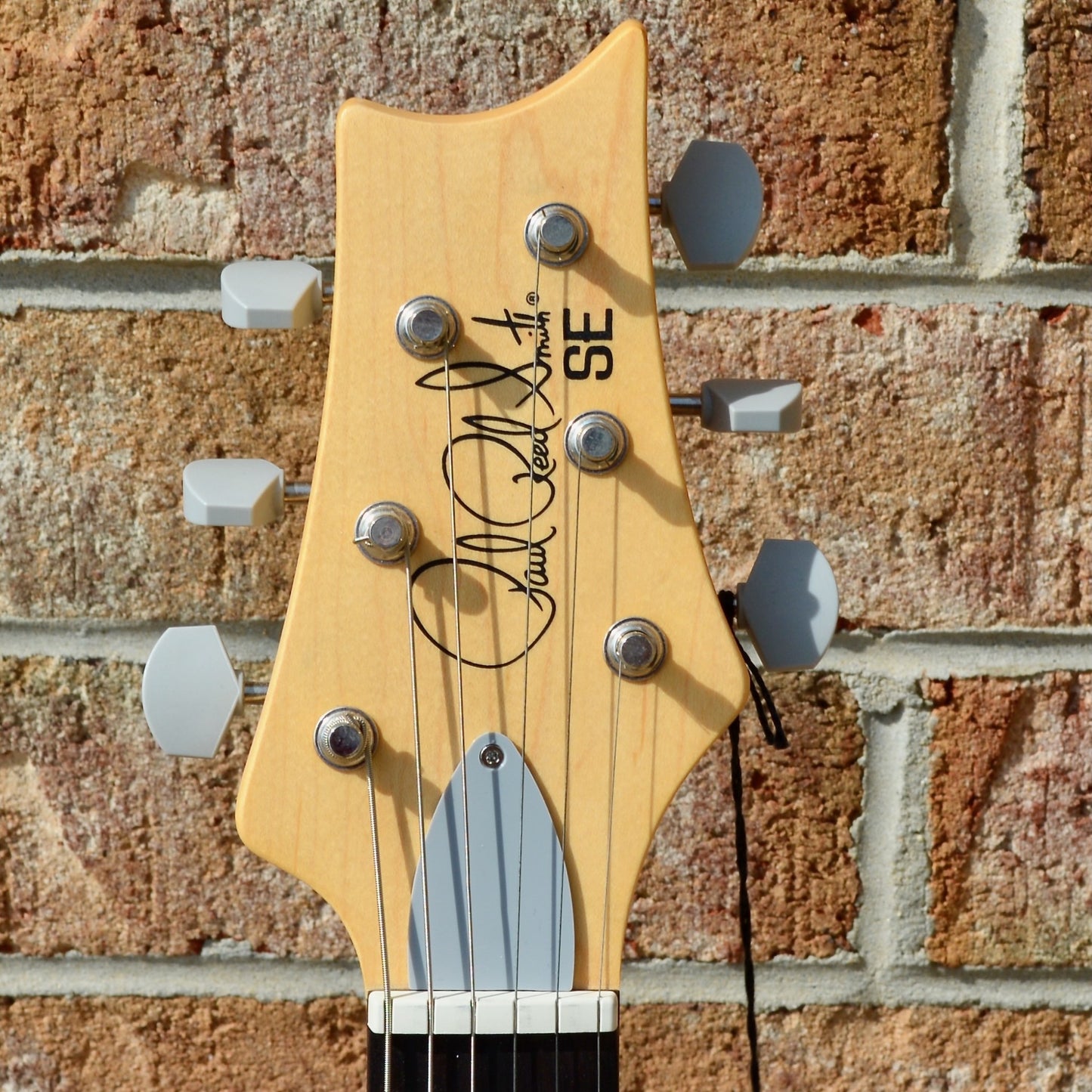 PRS SE Silver Sky Dragon Fruit