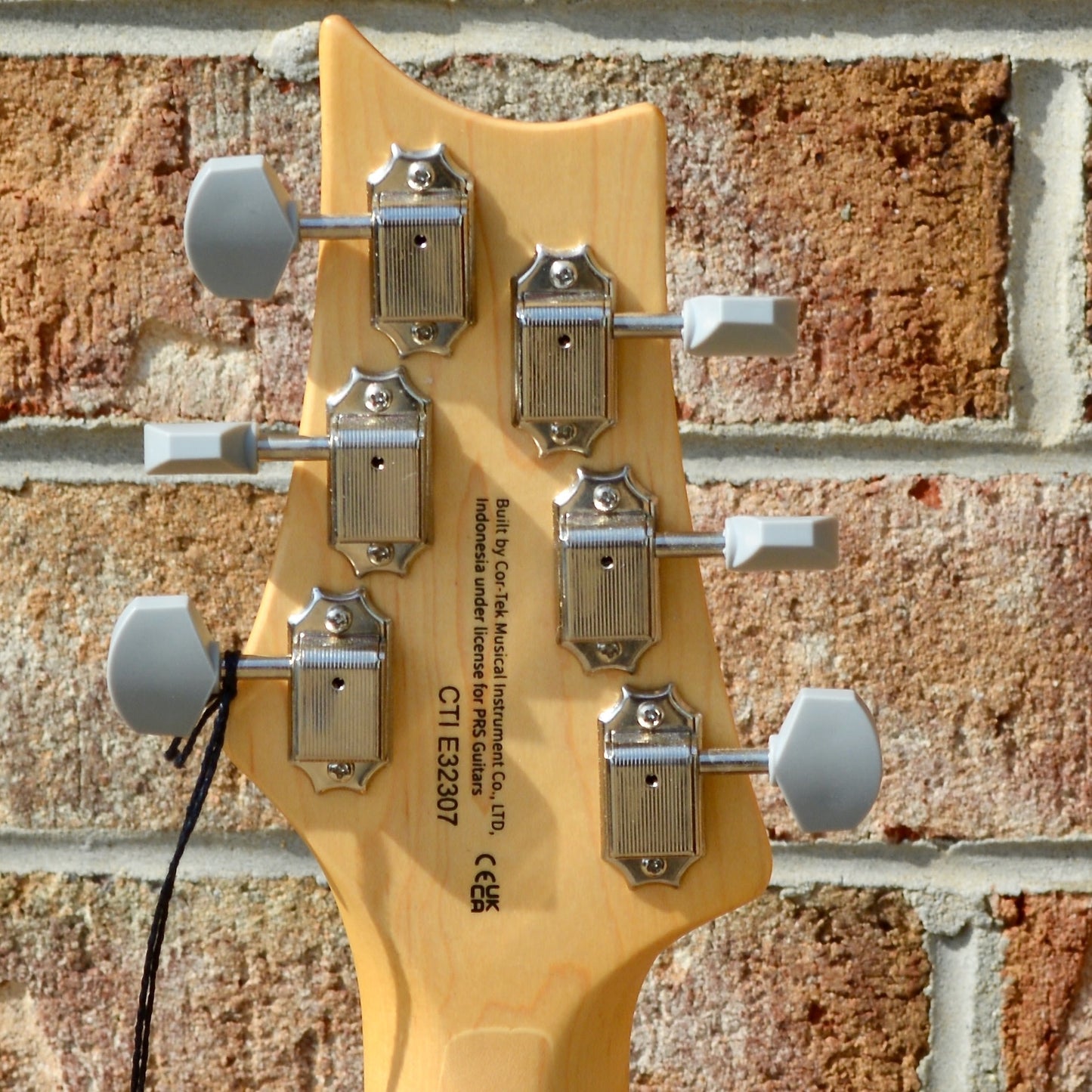 PRS SE Silver Sky Dragon Fruit