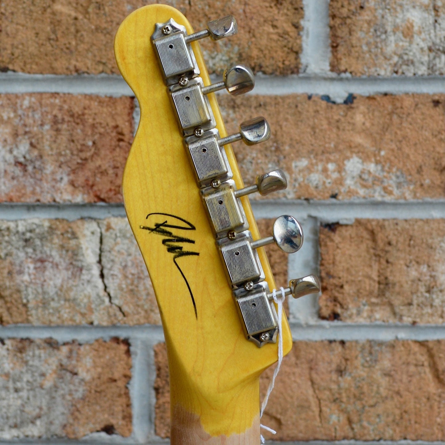 Nash Guitars T63 Special Tiki Master