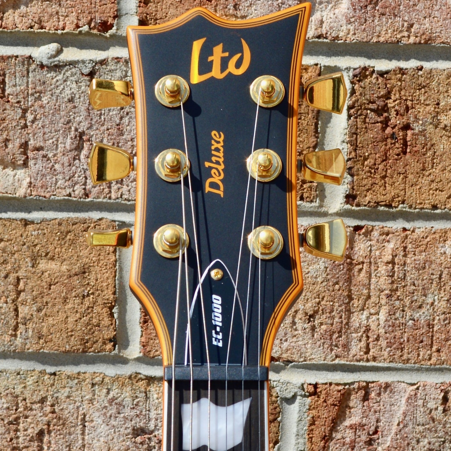 ESP LTD EC-1000 Vintage Black