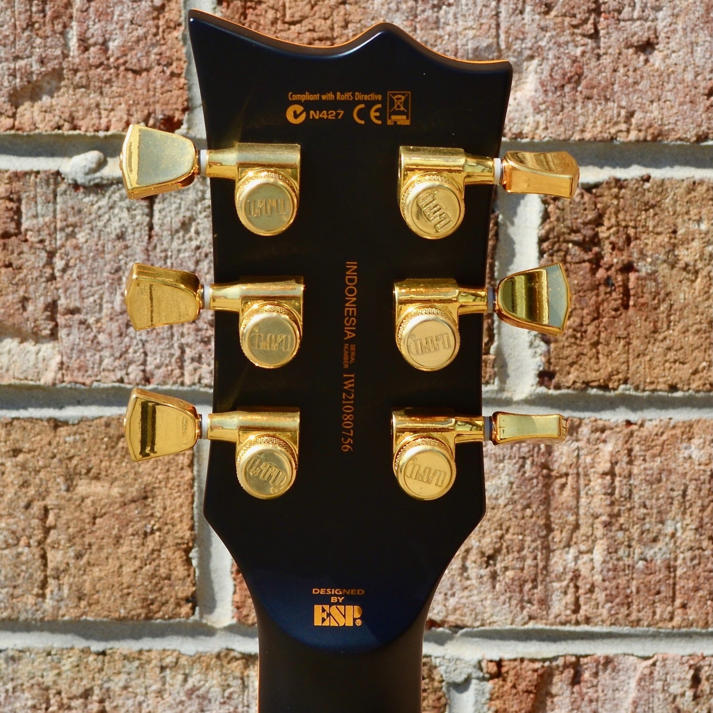 ESP LTD EC-1000 Vintage Black