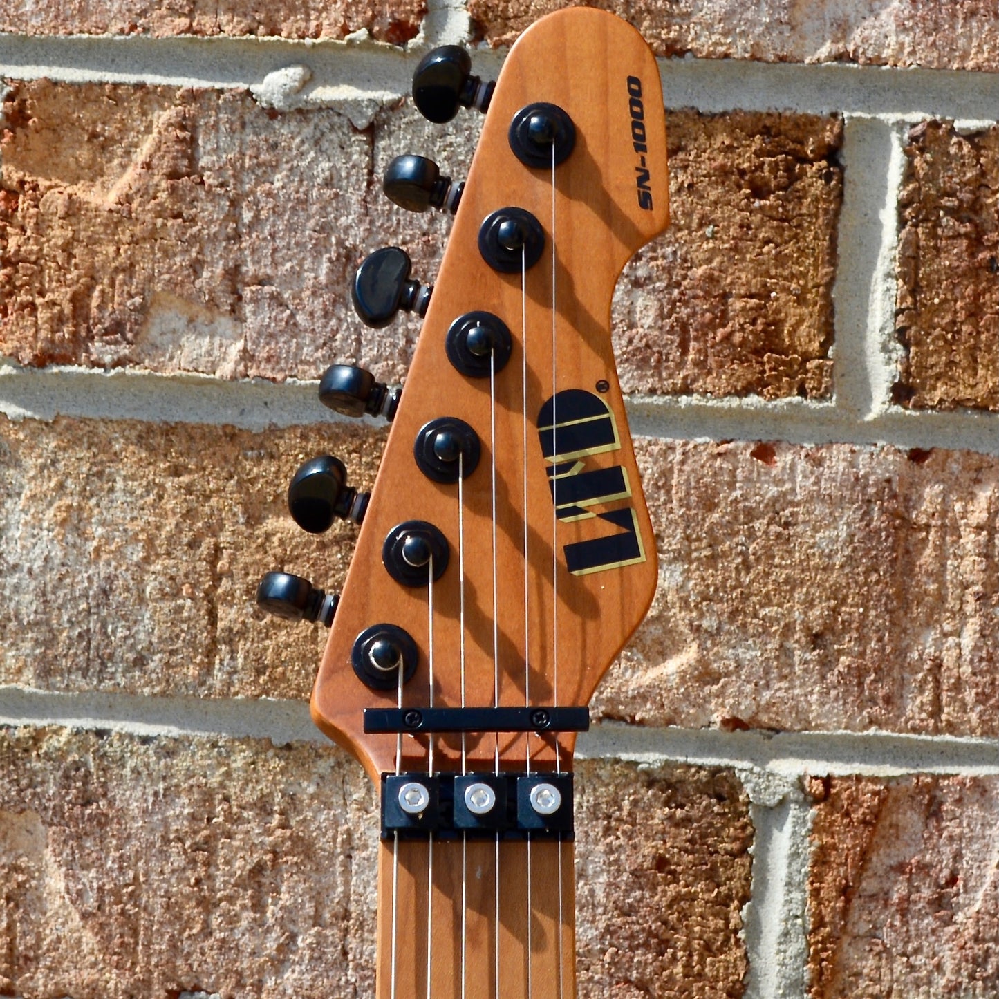 ESP LTD SN-1000FR Black Blast