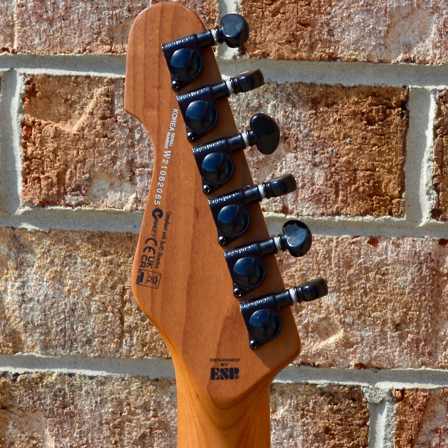 ESP LTD SN-1000FR Black Blast