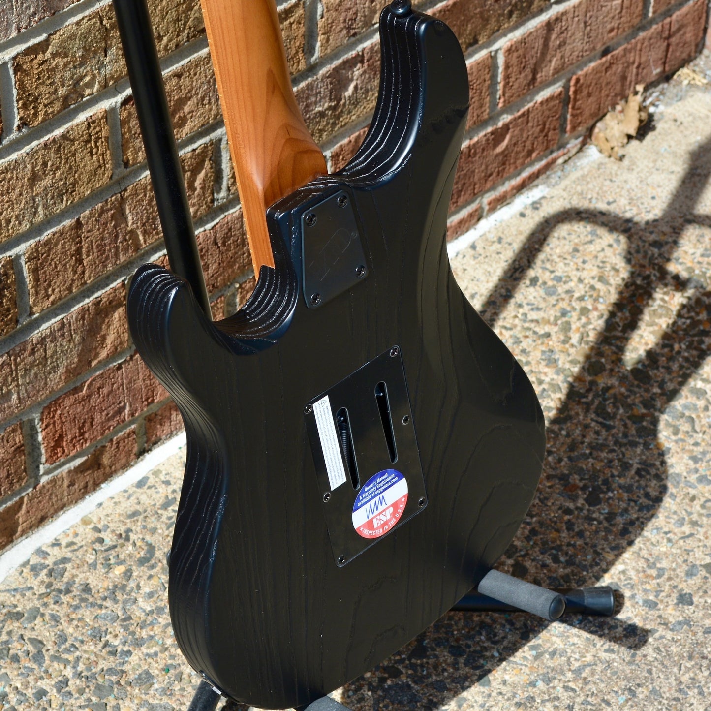 ESP LTD SN-1000FR Black Blast