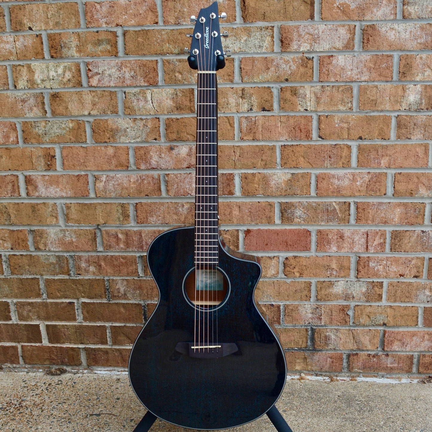 Breedlove Rainforest S Concert Midnight Blue CE African Mahogany
