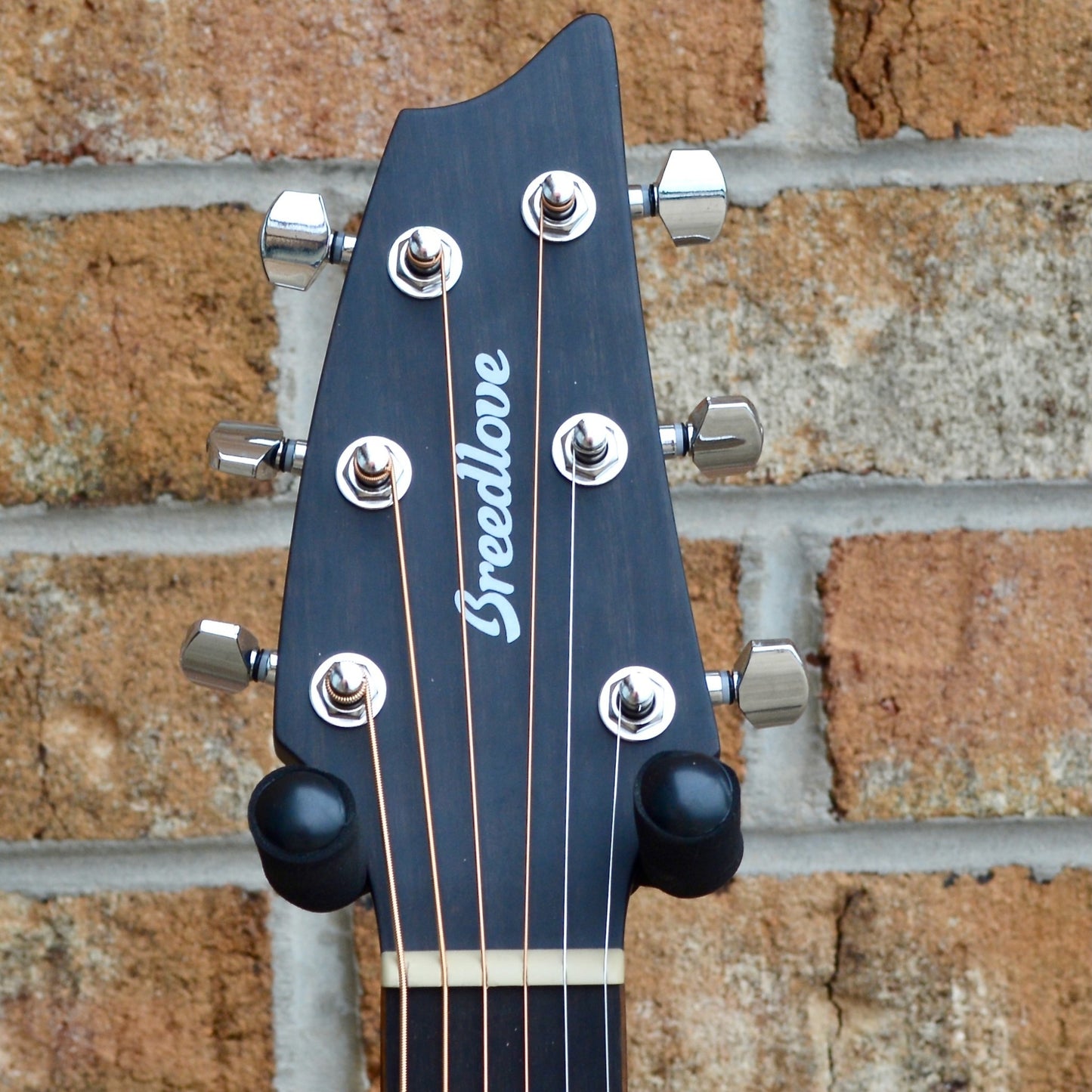 Breedlove Rainforest S Concert Midnight Blue CE African Mahogany
