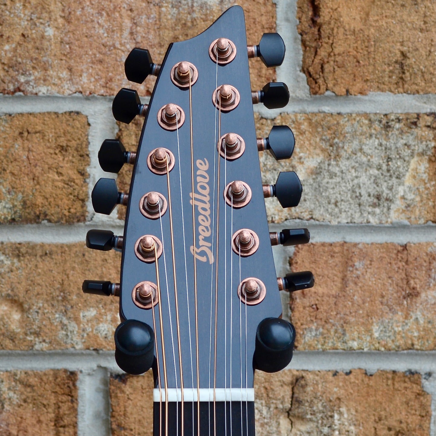 Breedlove Pursuit Exotic S Concert Amber 12-String CE Myrtlewood