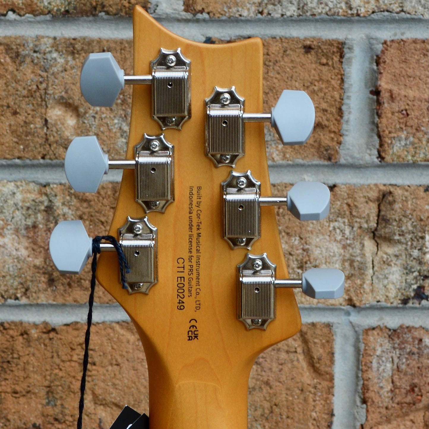 PRS SE Silver Sky Dragonfruit