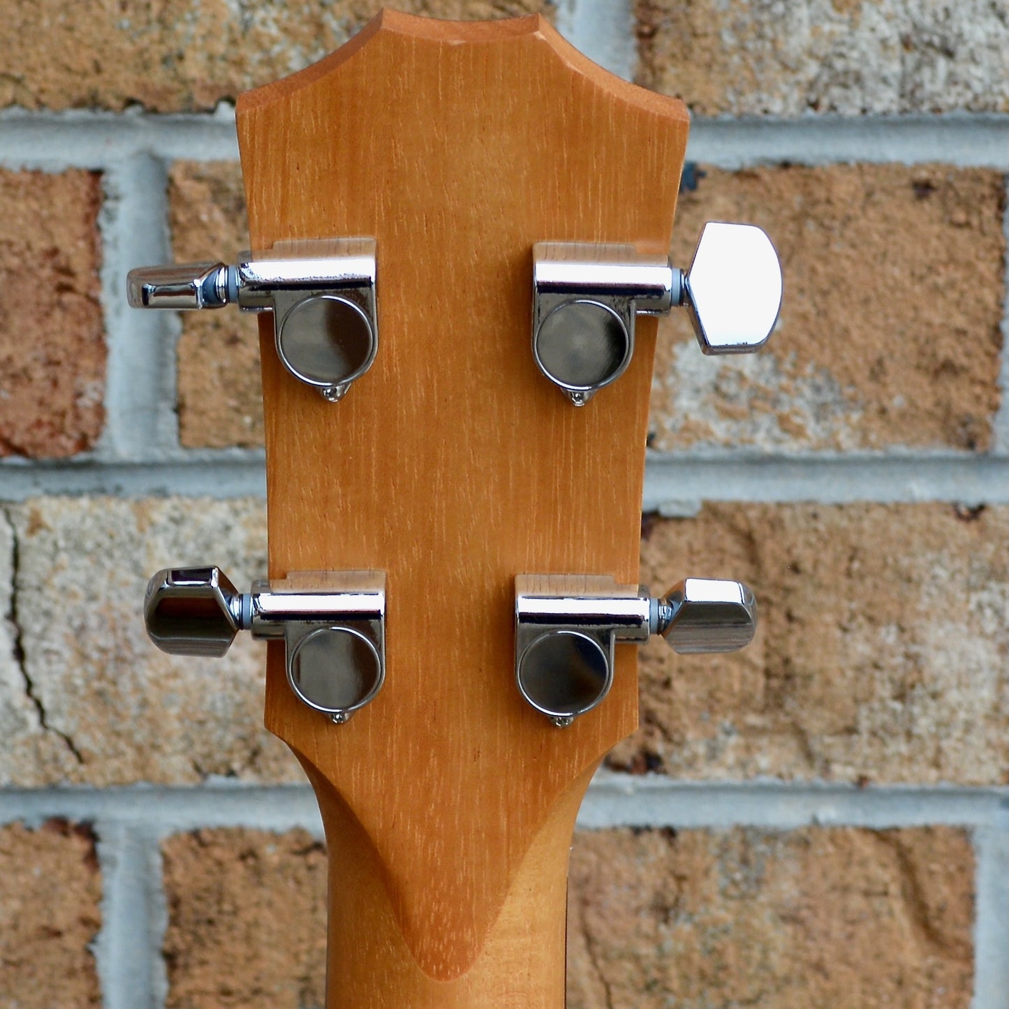 Taylor GS Mini-e Koa Bass