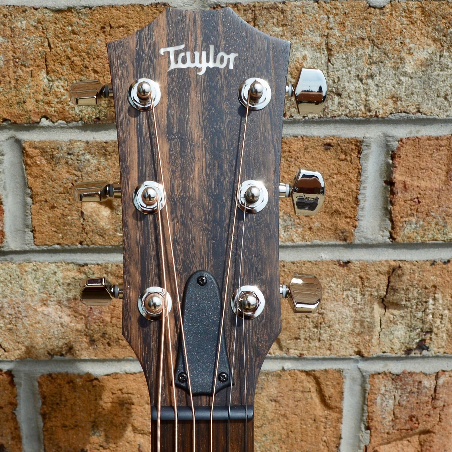 Taylor AD22e