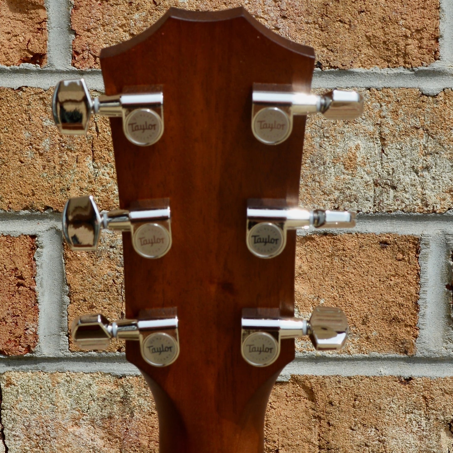 Taylor AD22e