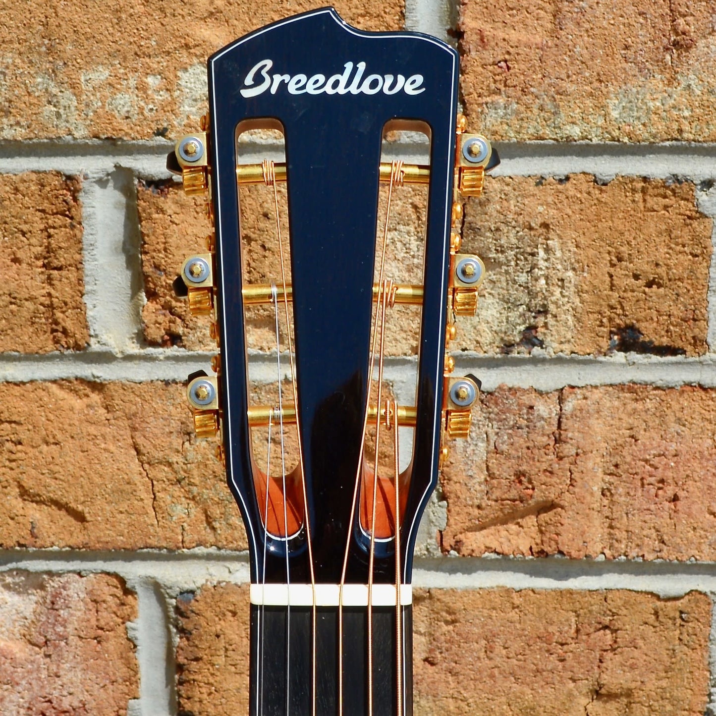 Breedlove Masterclass Custom Concertina Left Handed Adirondack Spruce - Cocobolo
