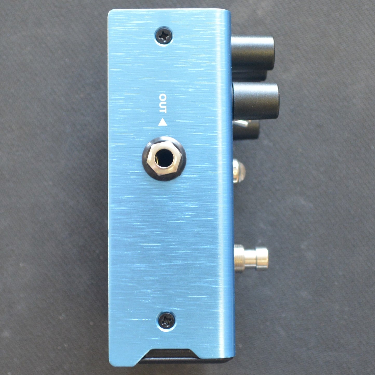 Fender Mirror Image Delay