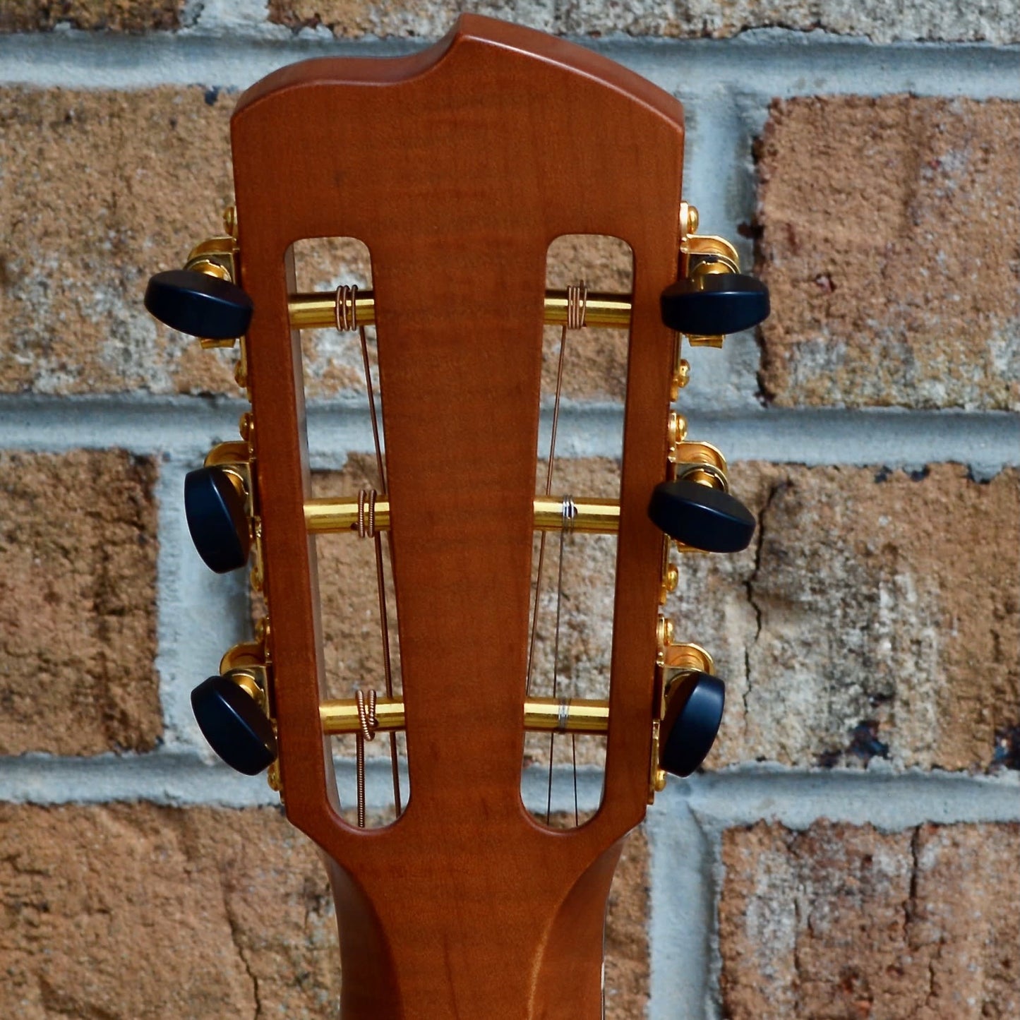 Breedlove Masterclass Custom Concertina Left Handed Adirondack Spruce - Cocobolo