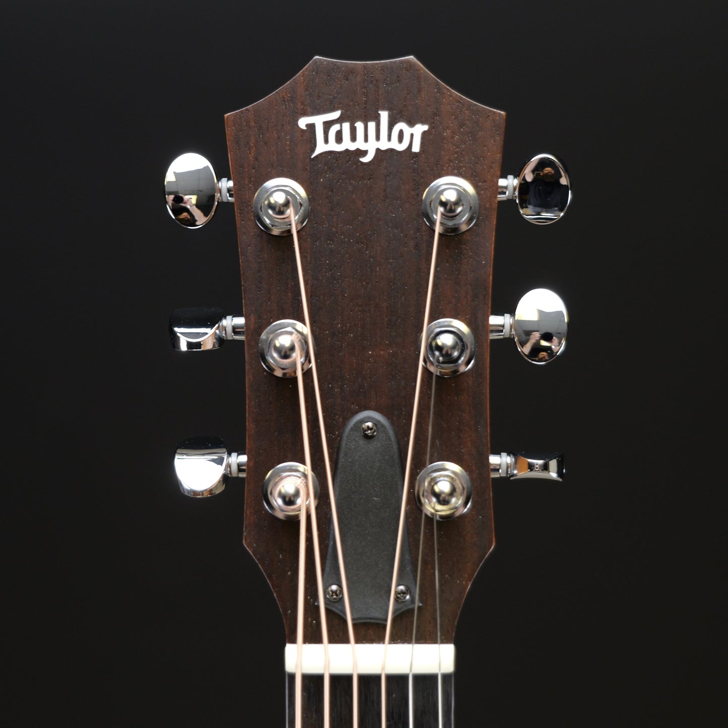 Taylor GS Mini Sapele