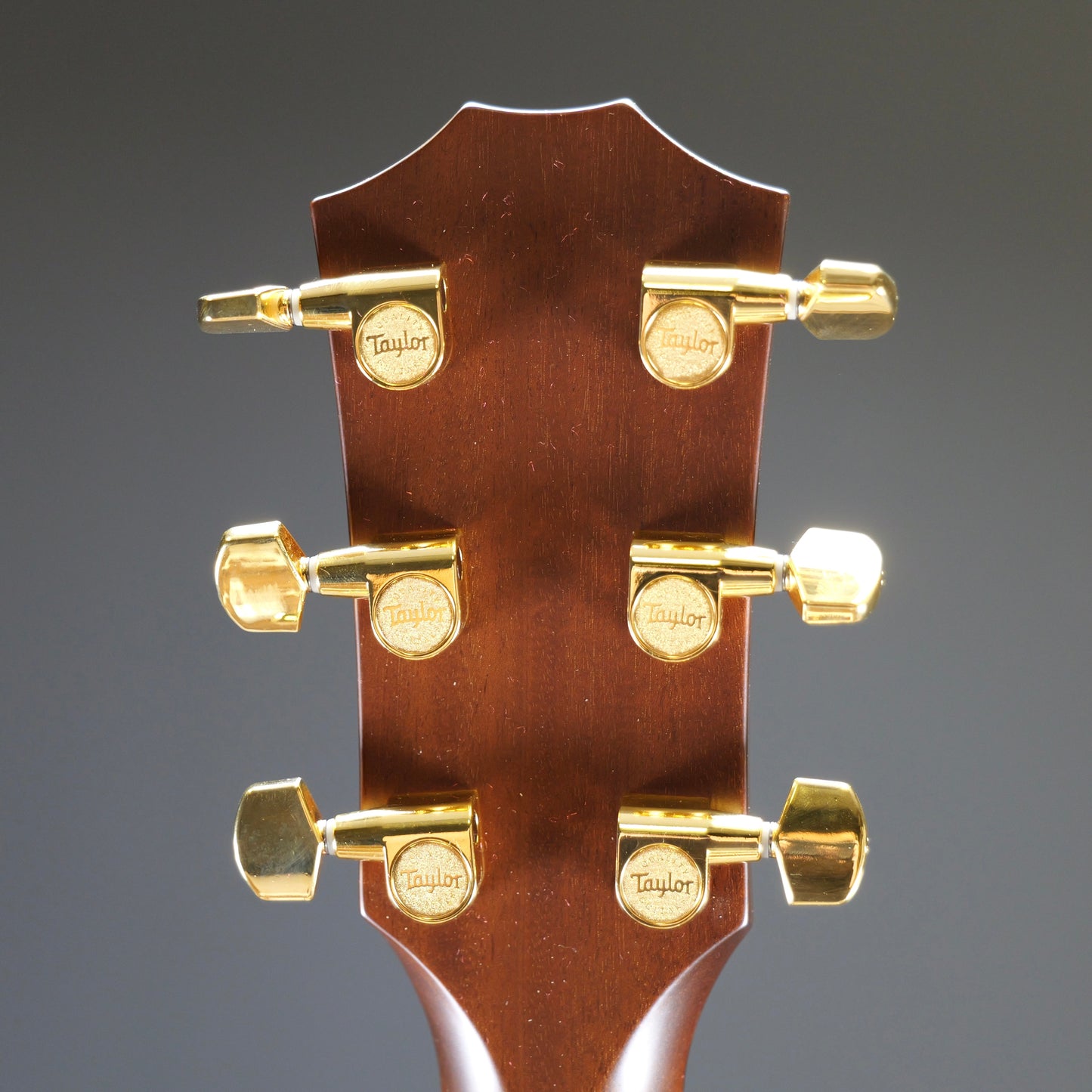 Taylor 50th Anniversary 314ce LTD