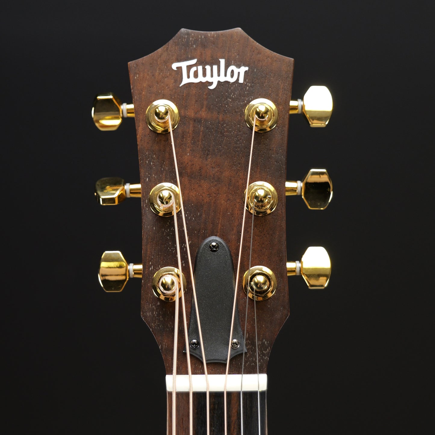 Taylor 50th Anniversary GS Mini-e Rosewood LTD