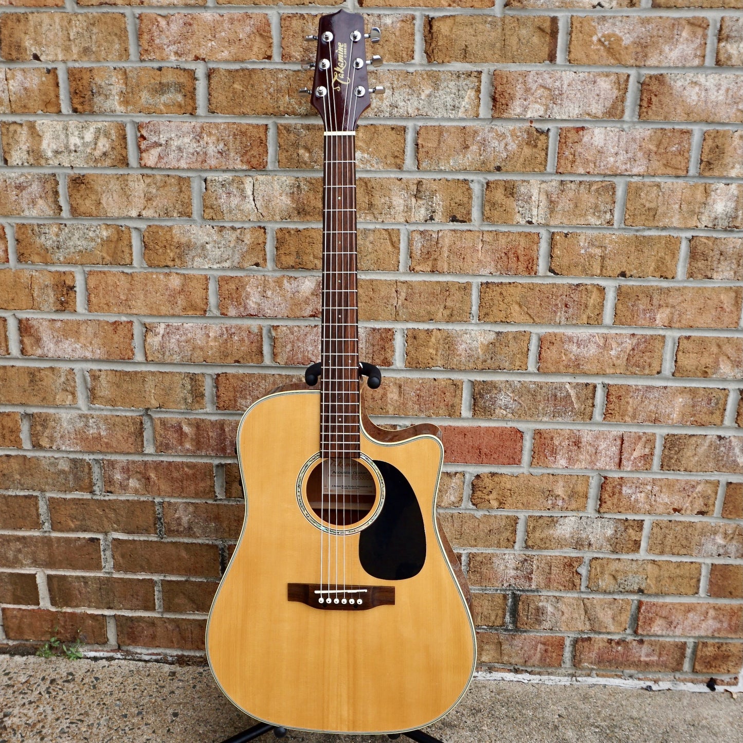 Takamine EG530SC