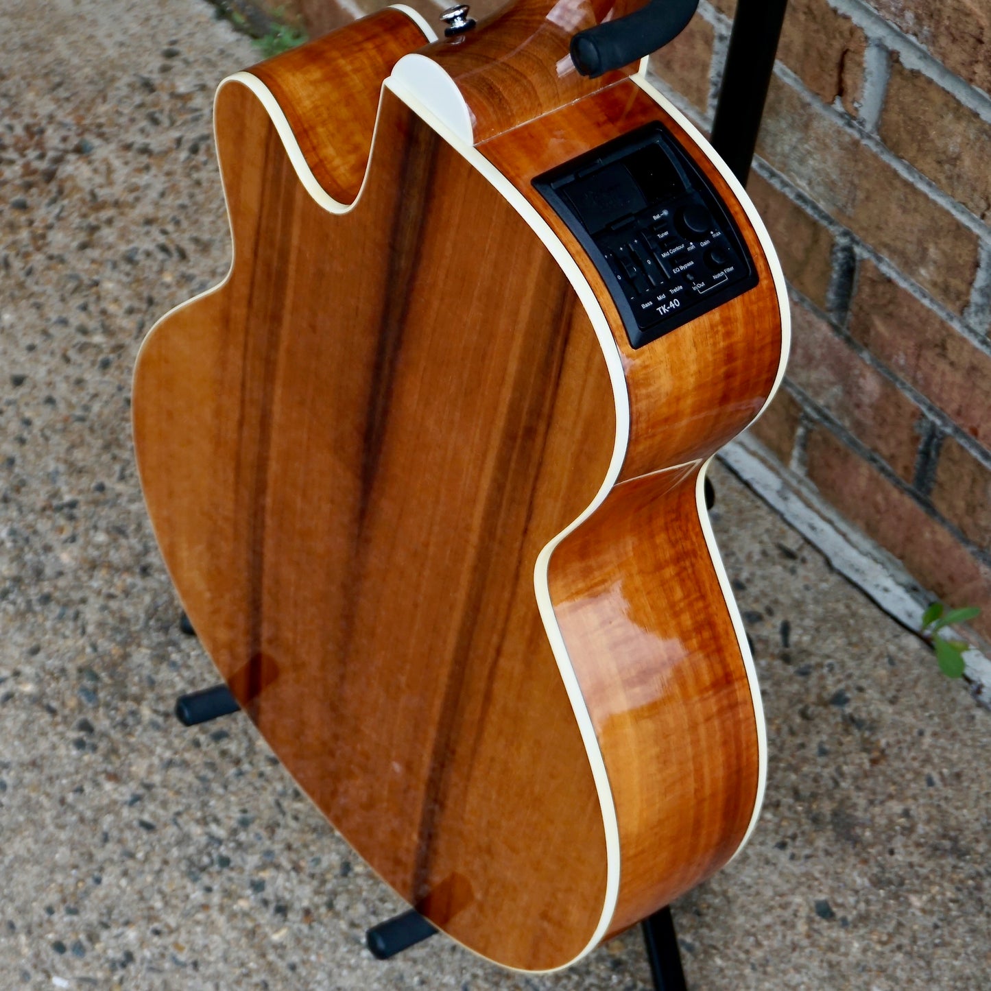 Takamine EG544SC-4C