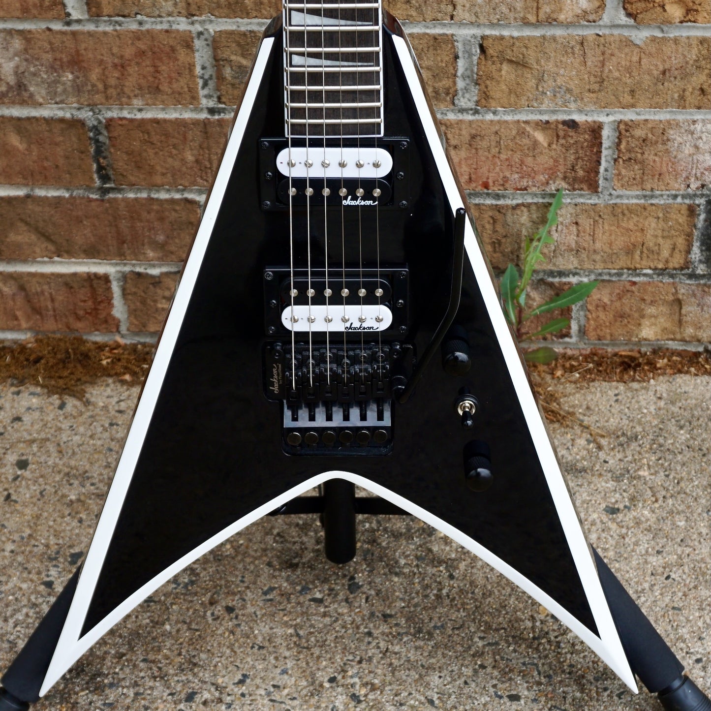 Jackson JS Series King V JS32 Black with White Bevels