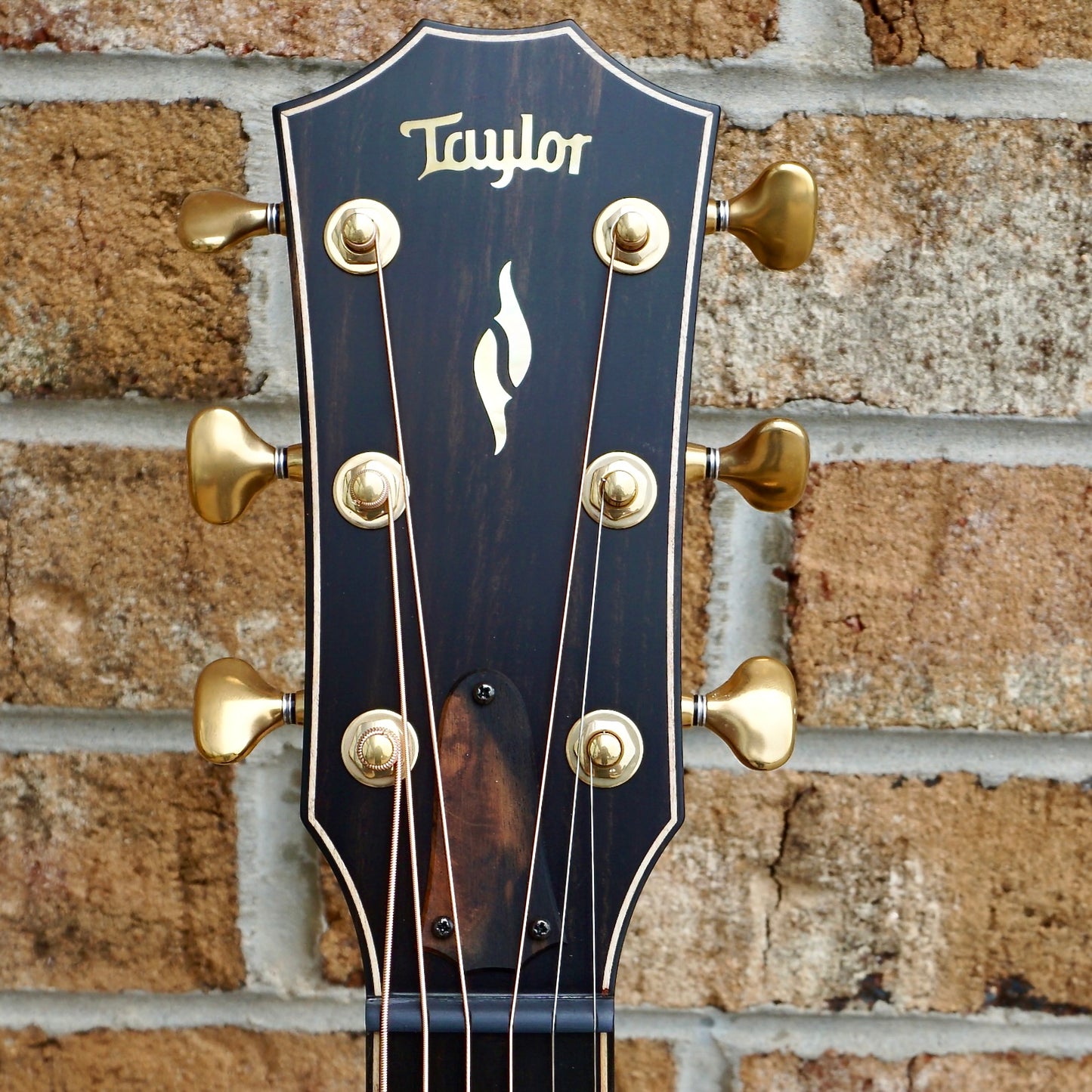 Taylor 50th Anniversary Builder's Edition 814ce LTD