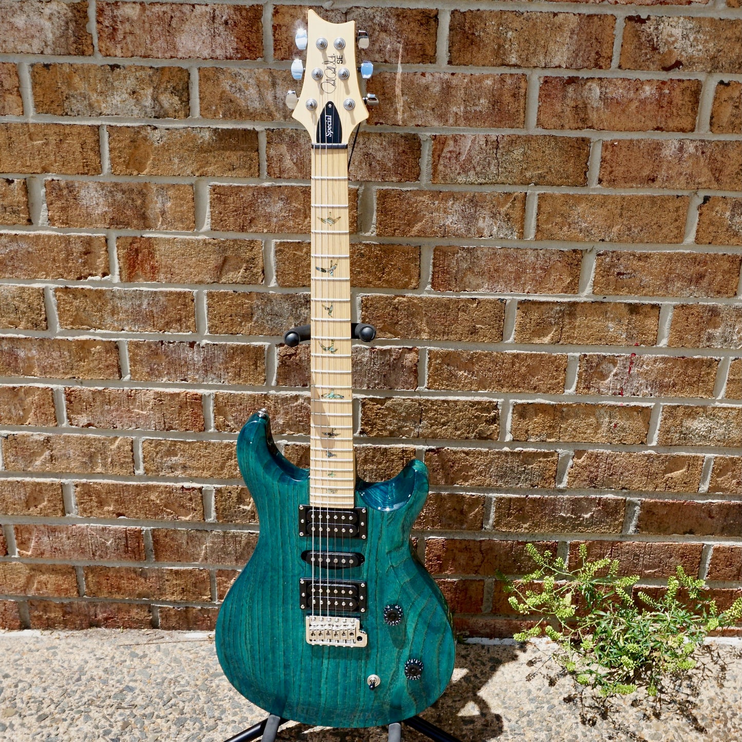 PRS SE Swamp Ash Special Iri Blue