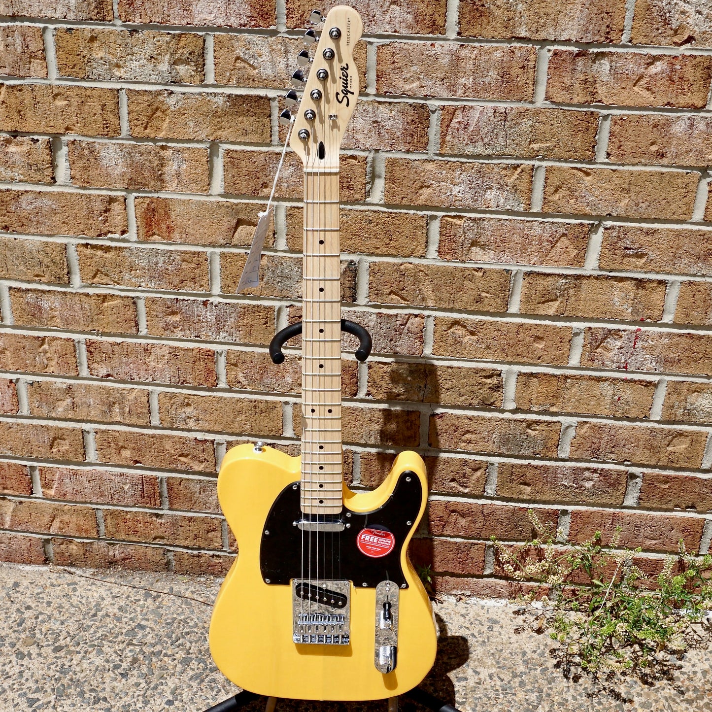 Fender Squier Sonic Telecaster Maple Fingerboard Black Pickguard Butterscotch Blonde