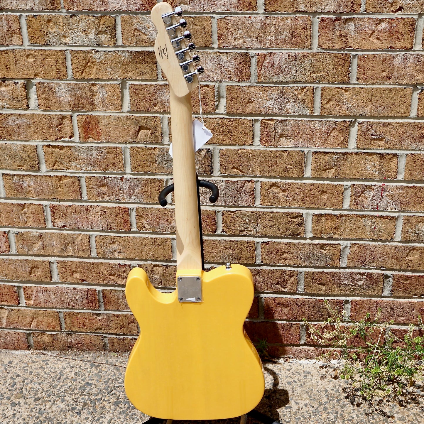 Fender Squier Sonic Telecaster Maple Fingerboard Black Pickguard Butterscotch Blonde