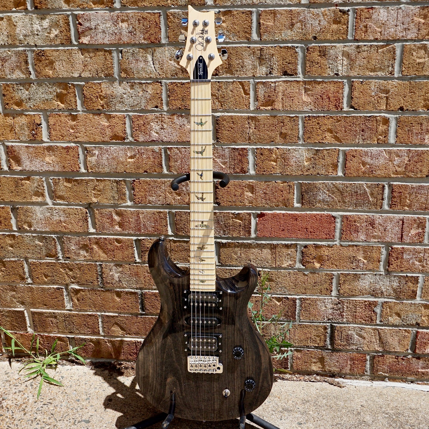 PRS SE Swamp Ash Special Charcoal