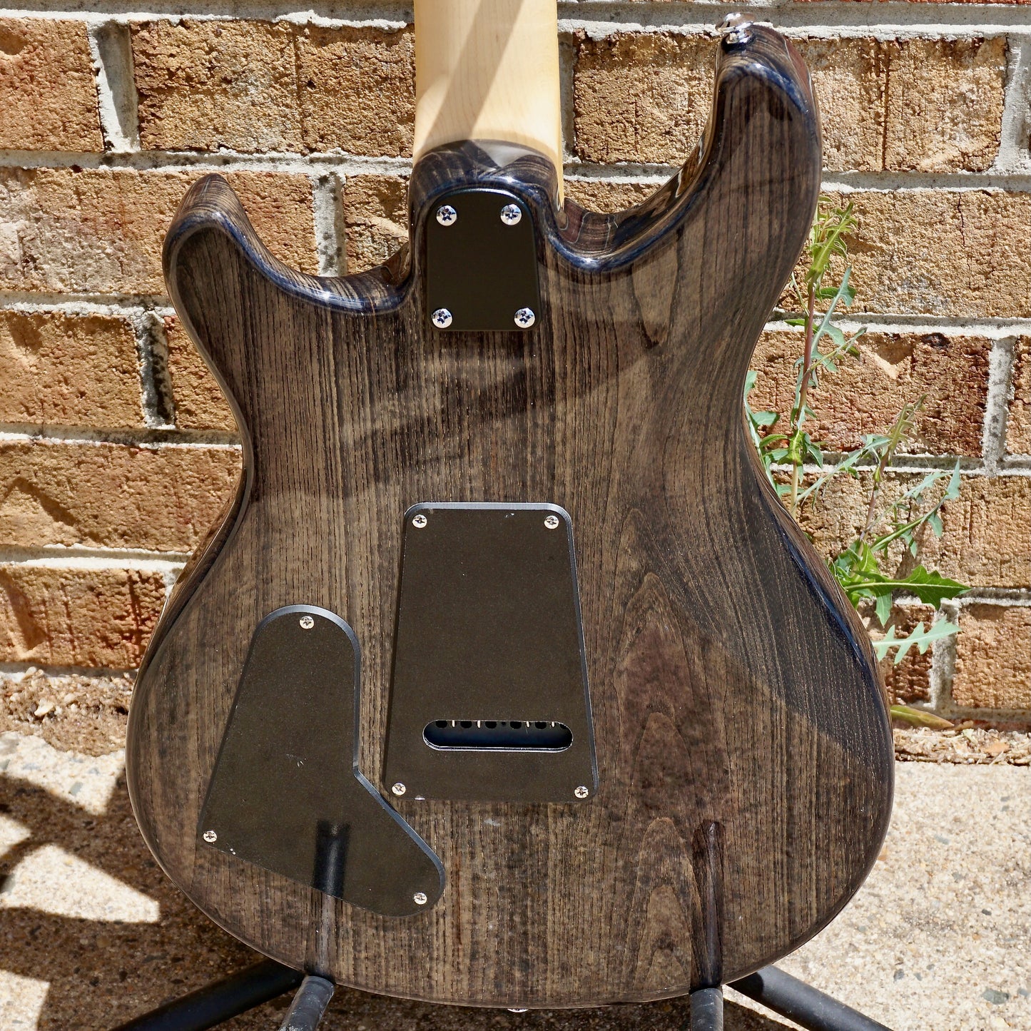 PRS SE Swamp Ash Special Charcoal