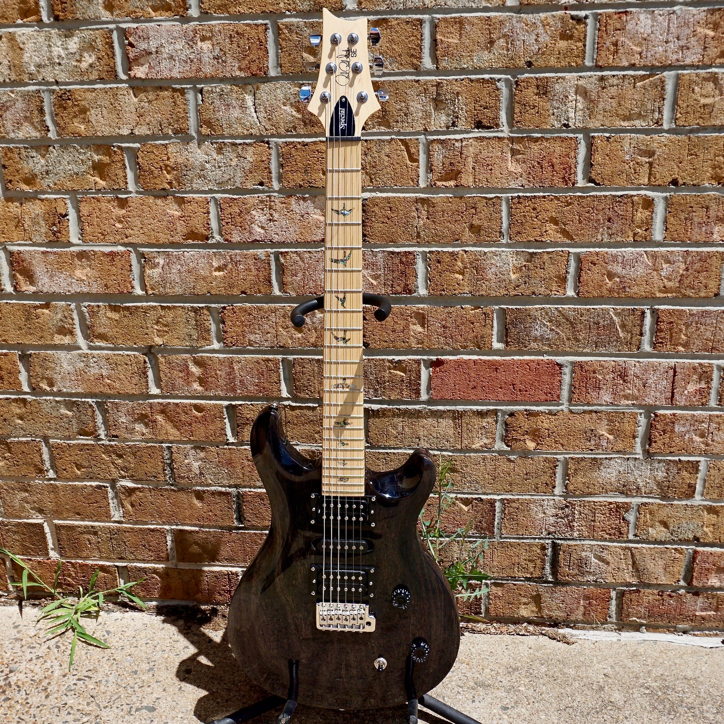 PRS SE Swamp Ash Special Charcoal