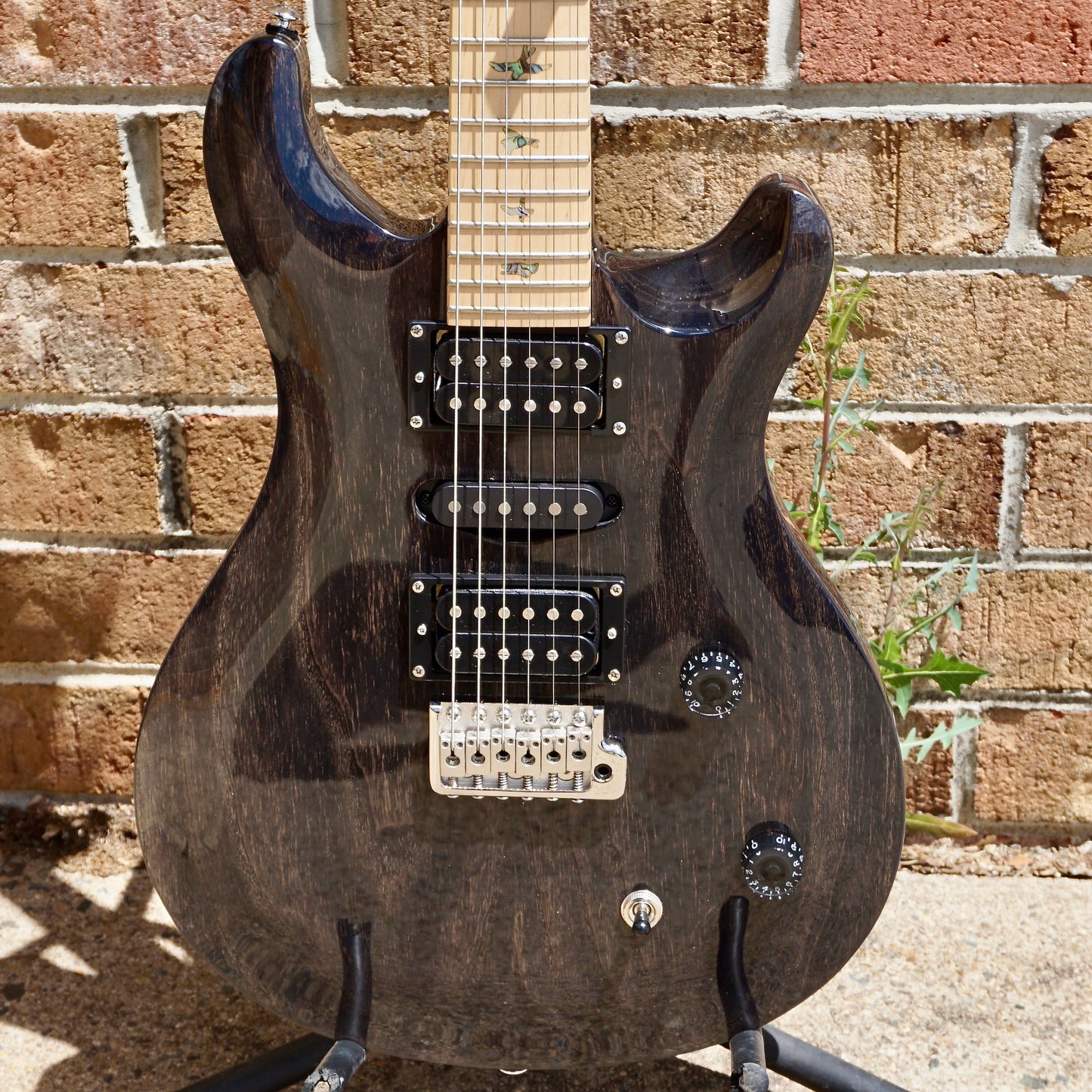 PRS SE Swamp Ash Special Charcoal