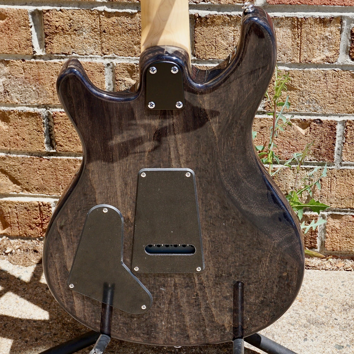 PRS SE Swamp Ash Special Charcoal