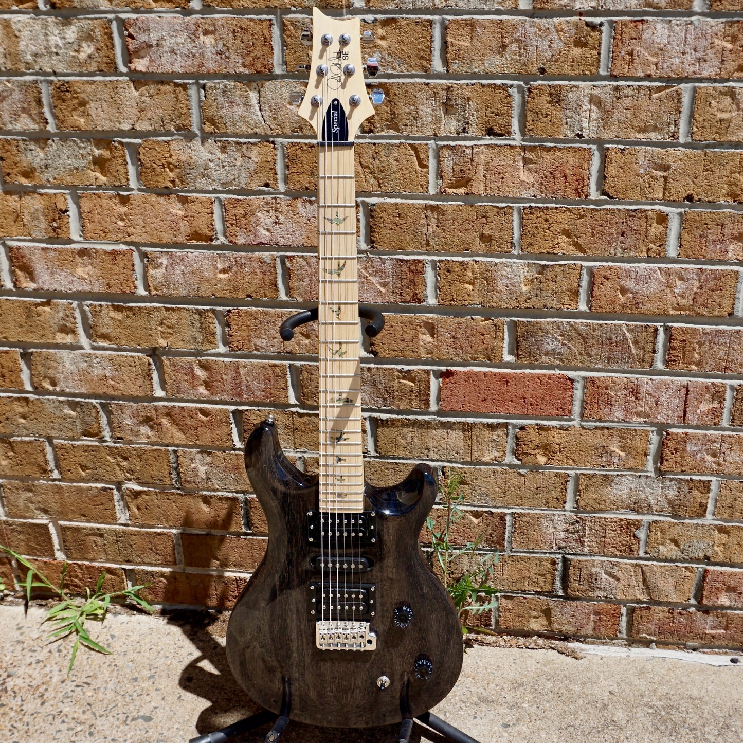 PRS SE Swamp Ash Special Charcoal