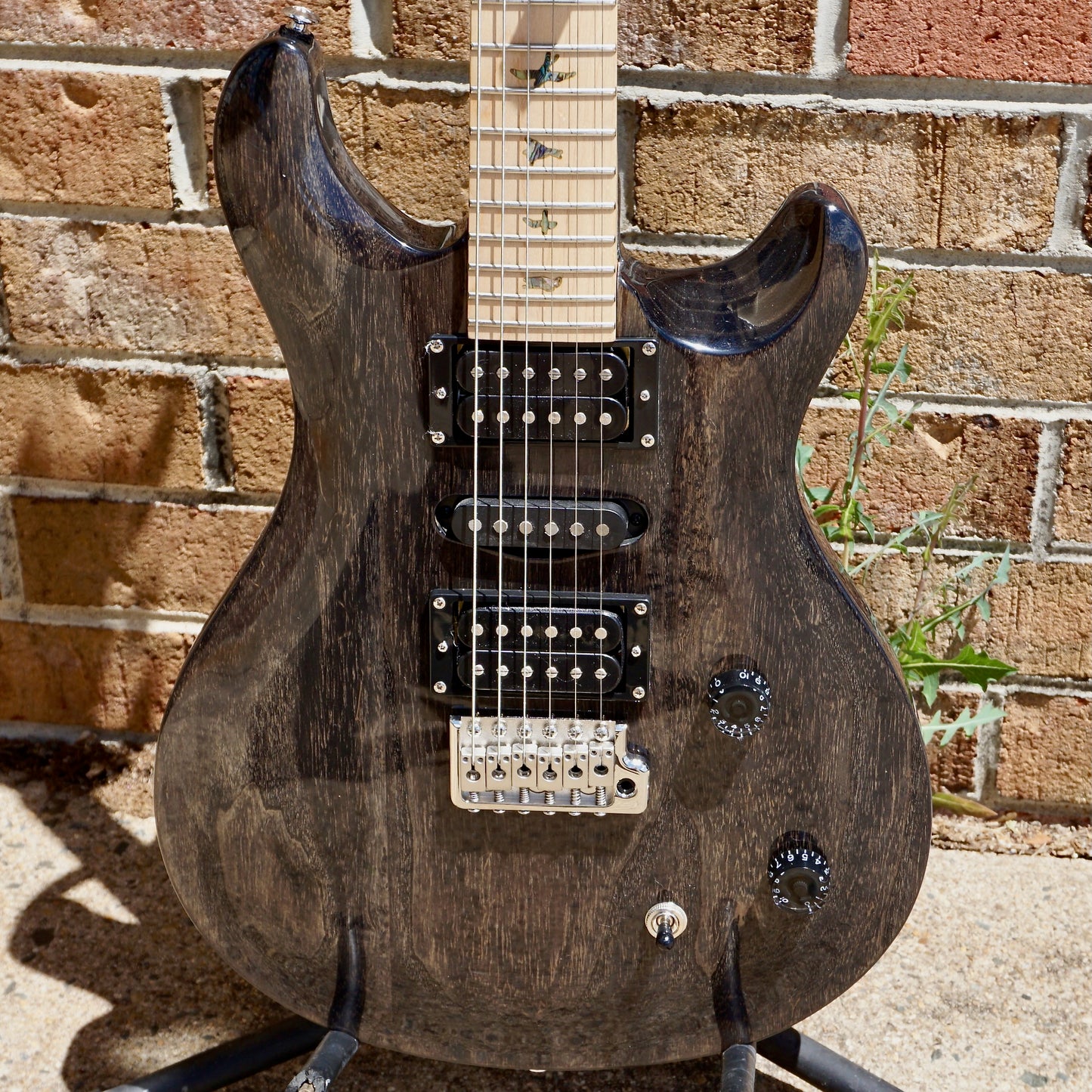 PRS SE Swamp Ash Special Charcoal