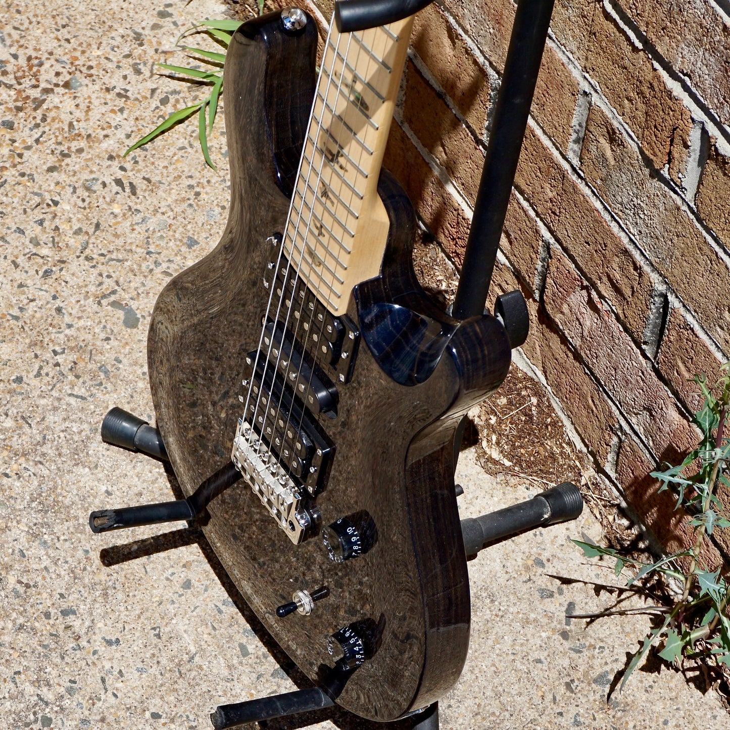 PRS SE Swamp Ash Special Charcoal