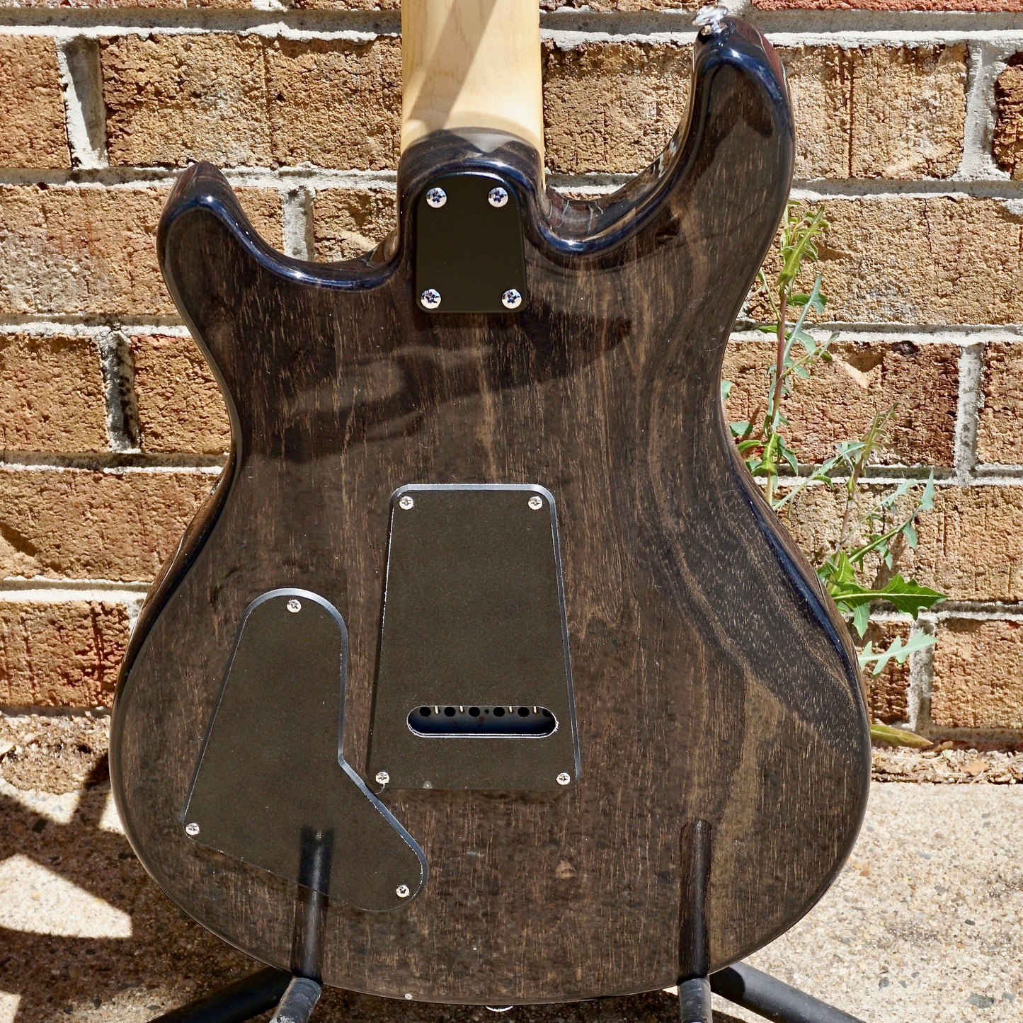 PRS SE Swamp Ash Special Charcoal