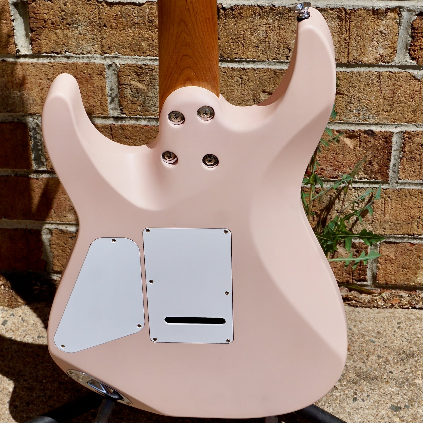 Charvel Pro-Mod DK24 HSS 2PT CM Caramelized Maple Fingerboard Satin Shell Pink
