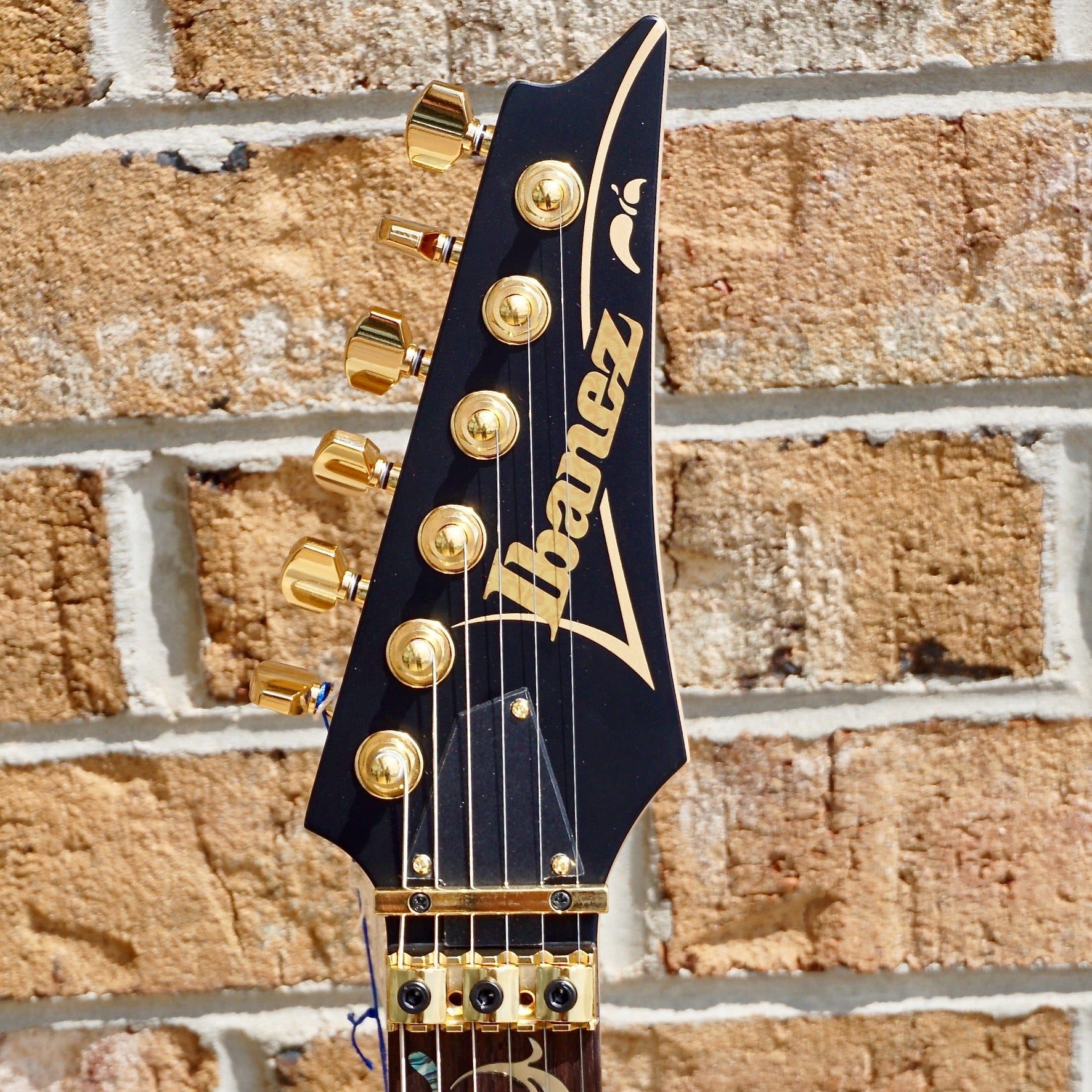 Black and store gold ibanez