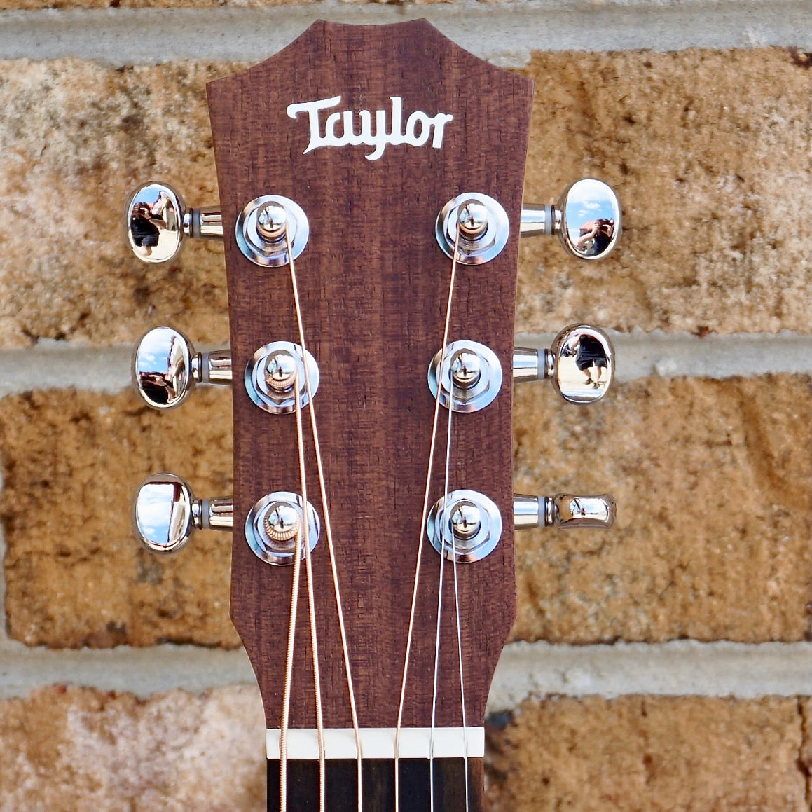 Taylor BT1