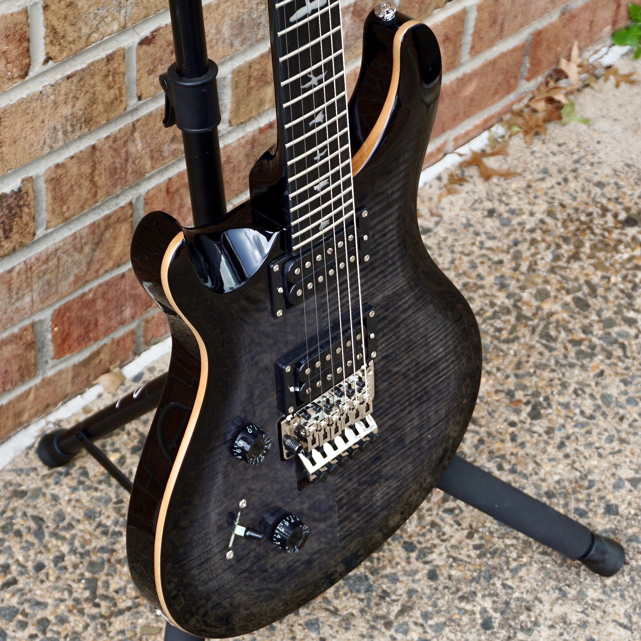 PRS SE Custom 24 