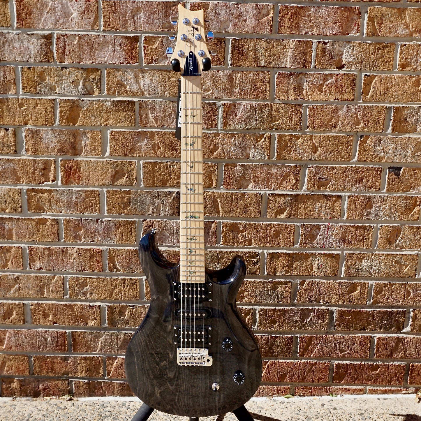 PRS SE Swamp Ash Special Charcoal