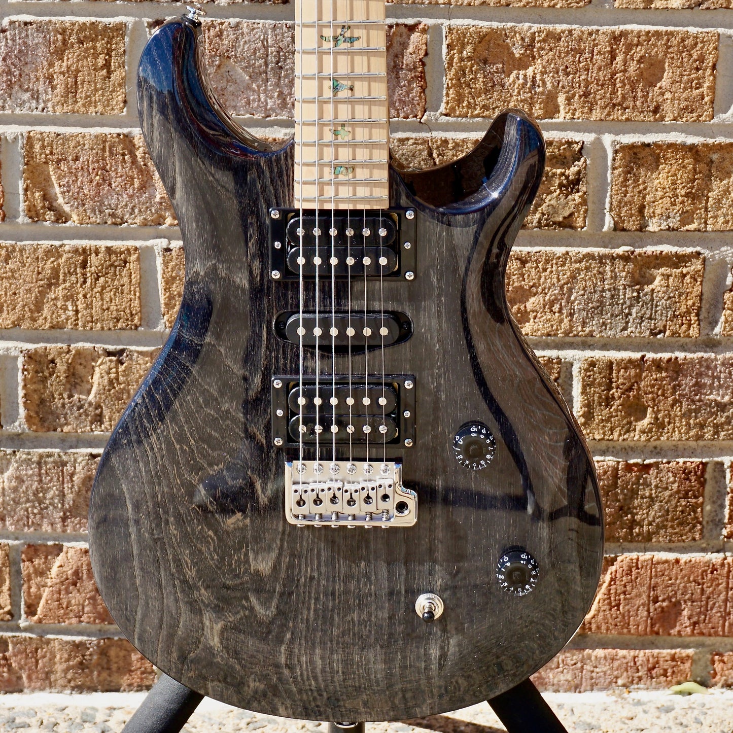 PRS SE Swamp Ash Special Charcoal