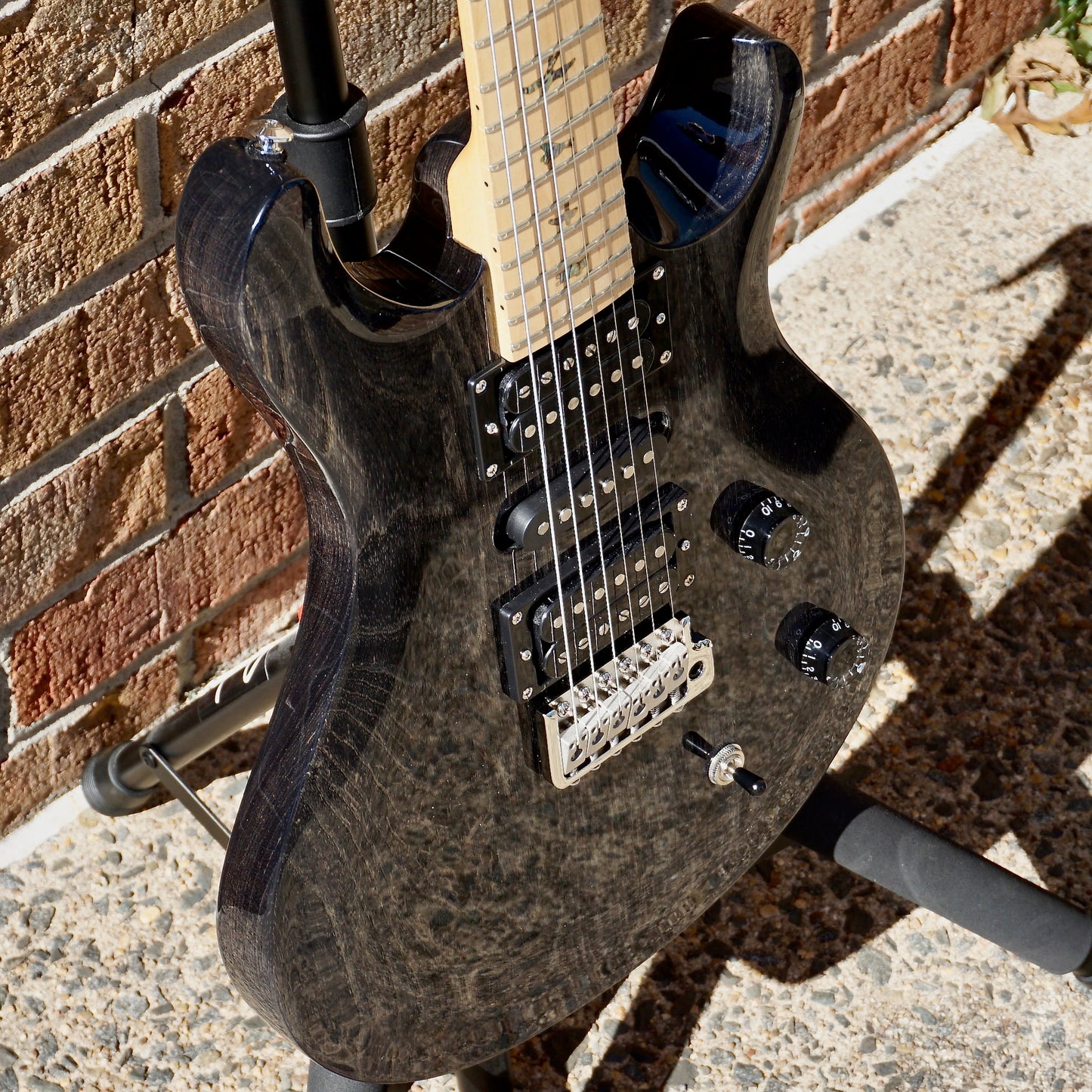 PRS SE Swamp Ash Special Charcoal