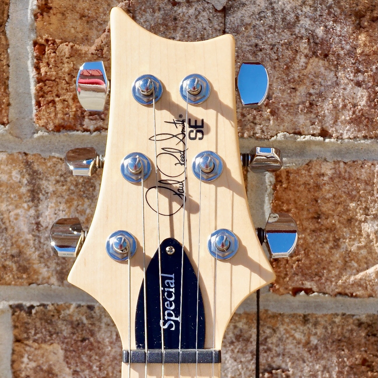 PRS SE Swamp Ash Special Iri Blue