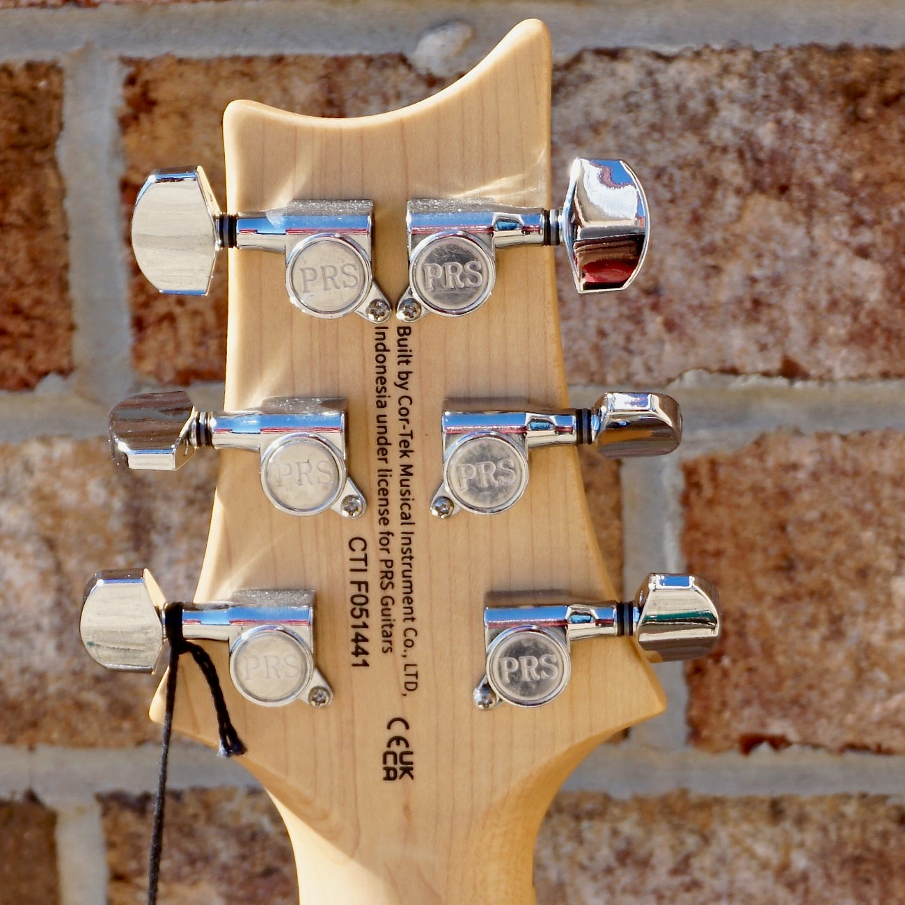 PRS SE Swamp Ash Special Iri Blue