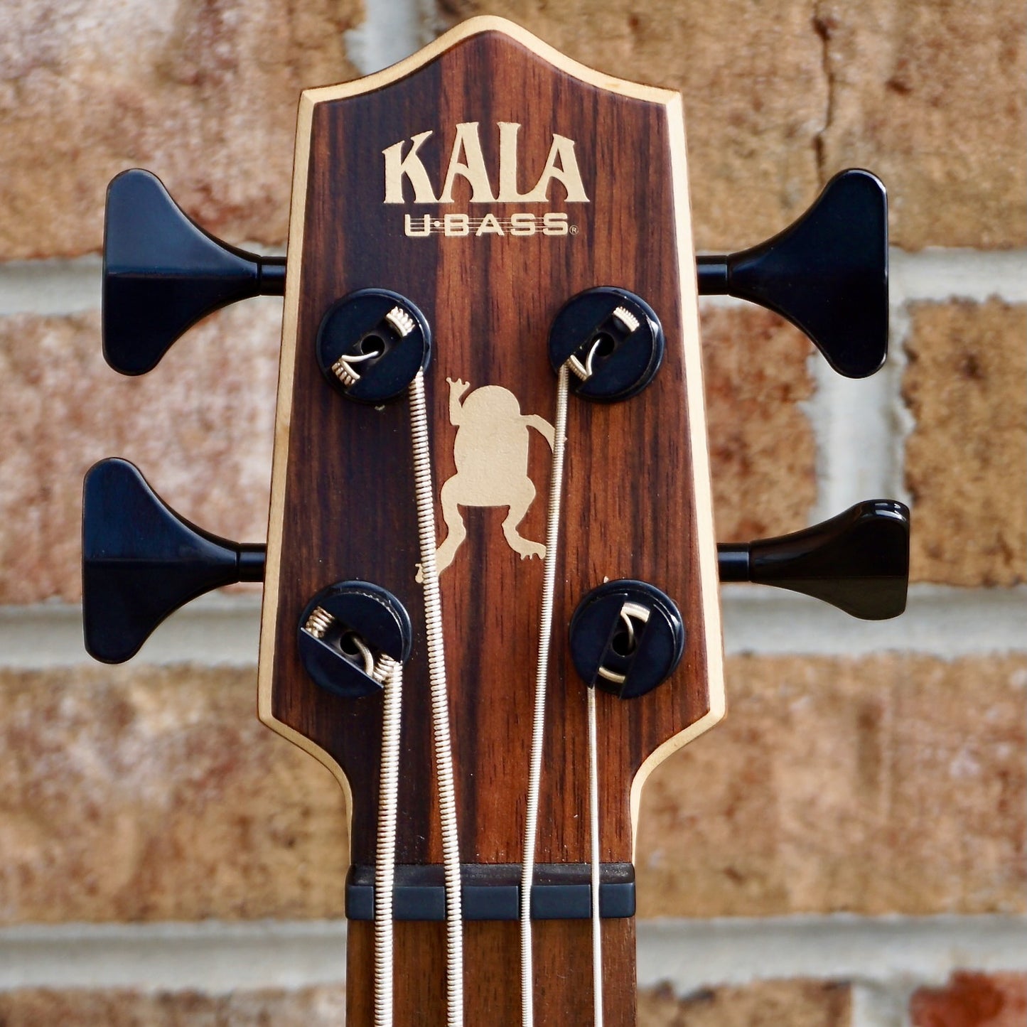 Kala Striped Ebony Fretted Acoustic-Electric UBASS