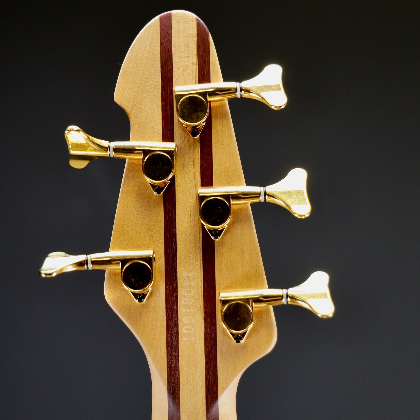 Peavey Cirrus 5 String Bass Flamed Maple USA