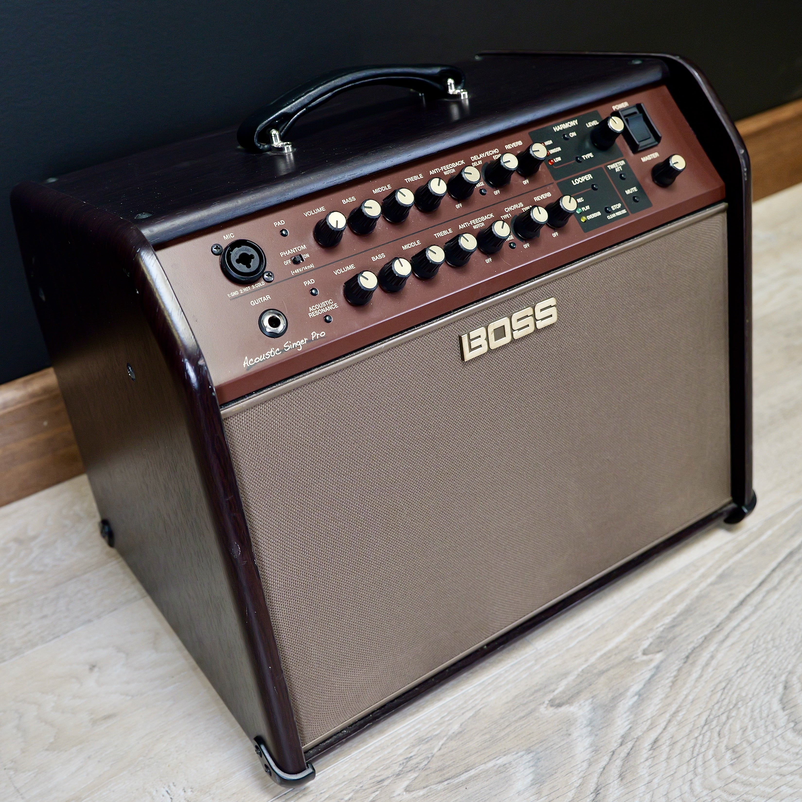 Boss ACS Acoustic Singer Pro – United States