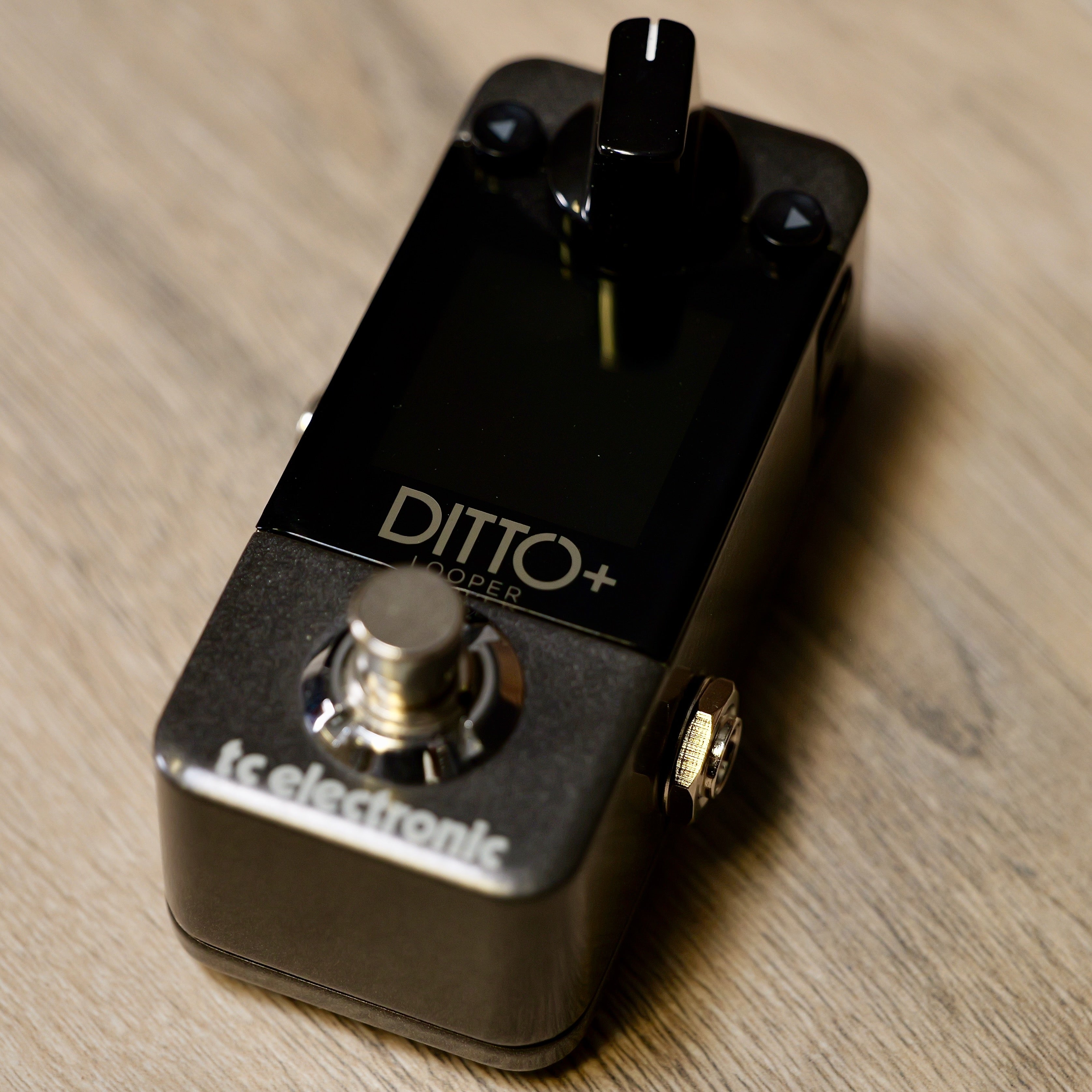 TC ELECTRONIC ( ティーシーエレクトロニック ) DITTO+ 【公式通販】